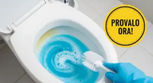 WC con acqua blu e mano con guanto che lo pulisce con una spazzola