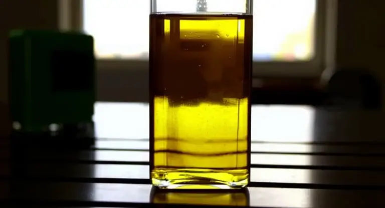 Bottiglia di vetro con olio di oliva su un tavolo alla luce del sole